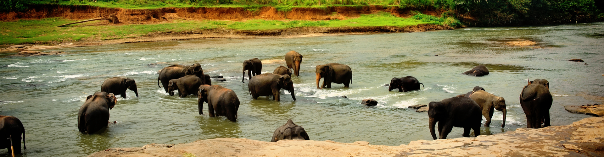 Sri Lanka